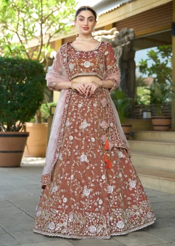 Brown Tissue Fabric Heavy embroidery Work Semi-Stitched Lehenga choli.