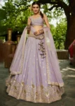 Mauve Chiffon Fabric Sequinse embroidery Semi-Stitched Lehenga choli.