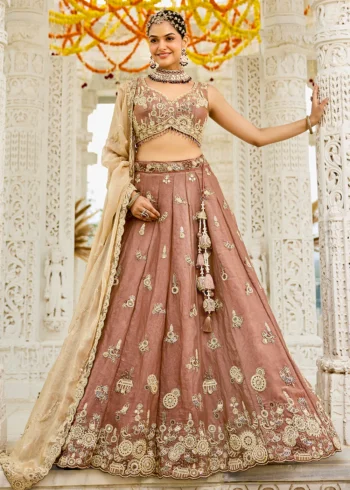 Beige Tissue Fabric Beads and Threads Embroidered Ready to Wear Lehenga Choli With Dupatta