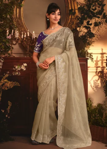 Beige Tissue Organza Silk Embroidered Wedding Saree