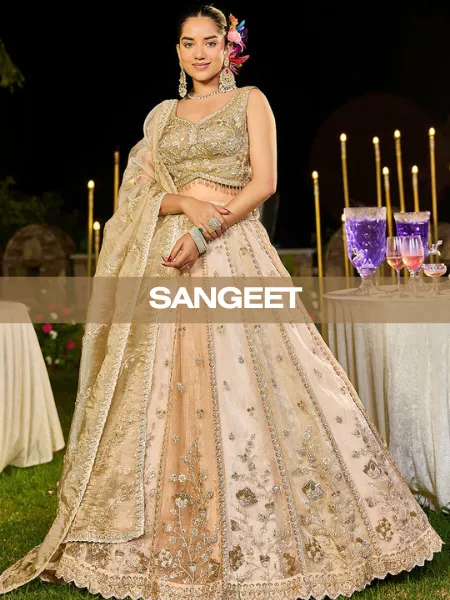 sangeet-691aecf8e3342